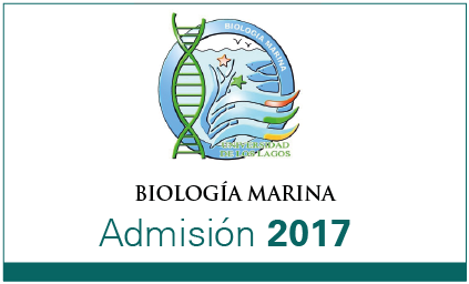 admision 2017 05