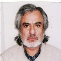 Email: jrau@ulagos.cl